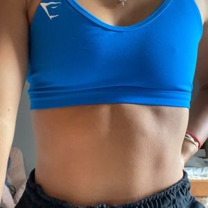 Blue gymshark sports bra